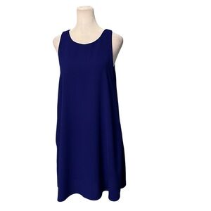 Everly Blue Sleeveless Tank Swing Dress Size Small